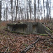 Back stairs down into the Nazi Pillbox