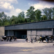 Hanger down at the Flugplatz