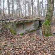 The Nazi pillbox in the woods behind The Glass House