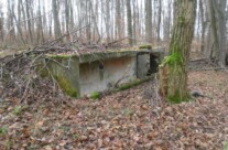 The Nazi pillbox in the woods behind The Glass House