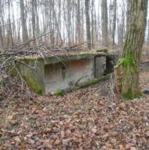The Nazi pillbox in the woods behind The Glass House