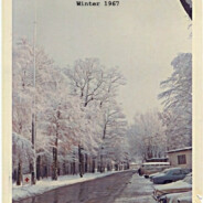 The main road up to The Glass House