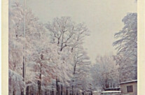 The main road up to The Glass House